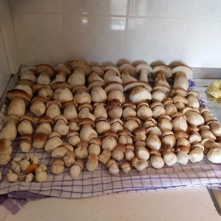 Velenje Ravne Sobe Vrtacnik D O O * Sostanj