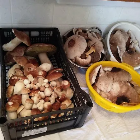 Appartement Velenje Ravne Sobe Vrtacnik D O O *