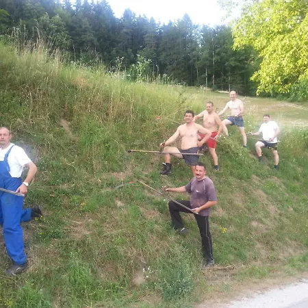 Velenje Ravne Sobe Vrtacnik D O O * Sostanj