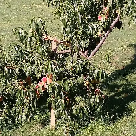 Διαμέρισμα Velenje Ravne Sobe Vrtacnik D O O *