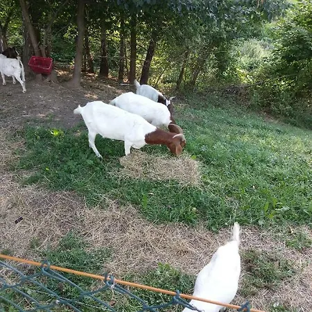 Διαμέρισμα Velenje Ravne Sobe Vrtacnik D O O