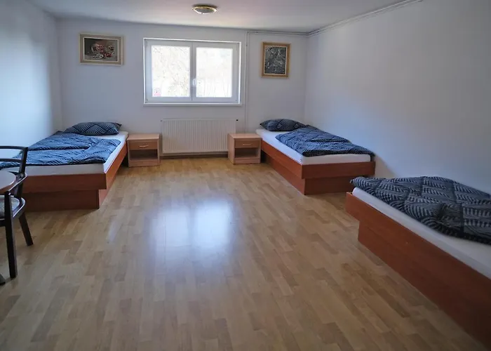 Velenje Ravne Sobe Vrtacnik D O O Apartamento Sostanj