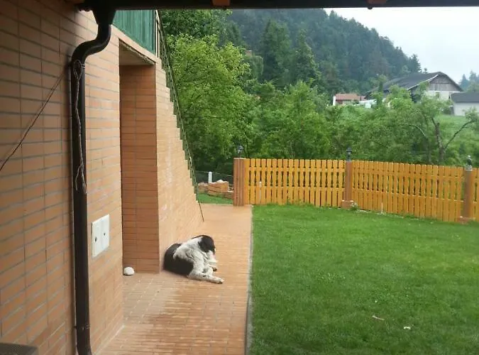 Apartamento Velenje Ravne Sobe Vrtacnik D O O *