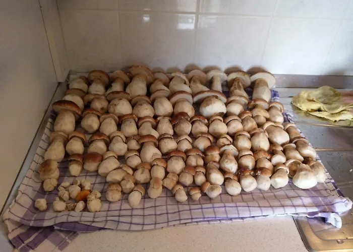 Velenje Ravne Sobe Vrtacnik D O O * Sostanj