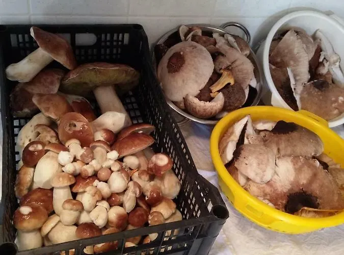 Apartamento Velenje Ravne Sobe Vrtacnik D O O *