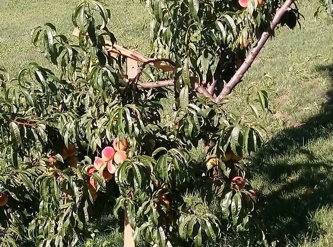 Apartamento Velenje Ravne Sobe Vrtacnik D O O *